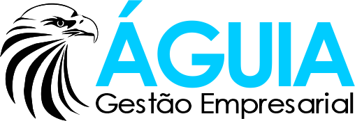 Águia Gestão Empresarial